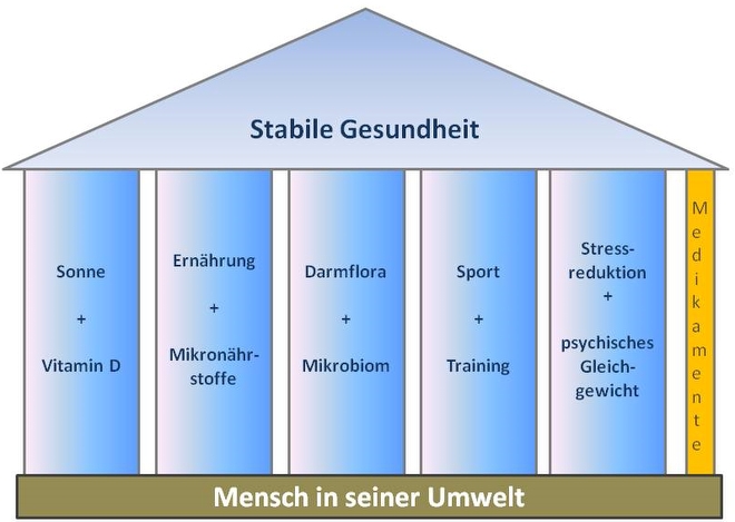 Abbildung 1 - Stabile Gesundheit - der Mensch in seiner Umwelt