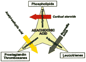 weihrauchtherapie abb1